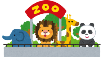 The Zoo's Portfolios - Month 3
