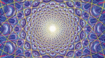 StartEngine Raises That Intrigue Us - August 2024