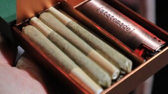 MedMen! An American Cannabis Dispensaries