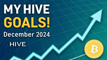 My Hive Goals - December 2024