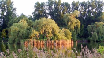 One of the warmer days in May - My Actifit Report Card: May 27 2024