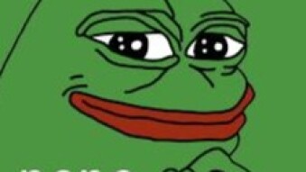 Grab yourself 1000 PEPE Tokens a Day!!!