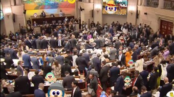 Elige tu representante BANANO