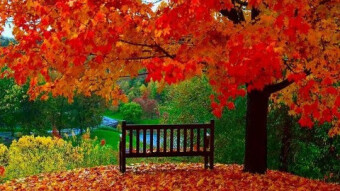 Imagine that the world is in your heart