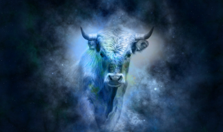 BULLISH OR BEARISH BITCOIN PRICE