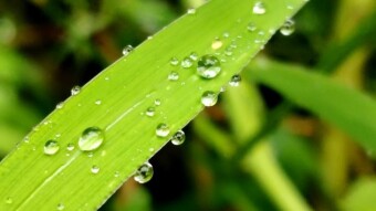 WATER DROPS Photography.