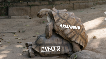 Mazars' loss is Armanino's gain