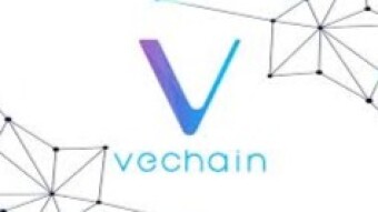 vechain cryptocurrency and its future
