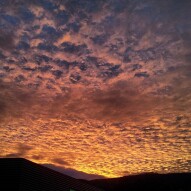In The Evening