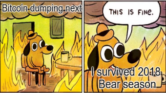 Bull trap and Bear Trap. Where are we at the moment?