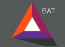 BAT, a project to look closely: 2020 may be the Year!