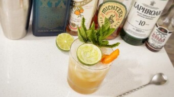 Murder Hornet's Bane Cocktail Recipe