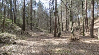 Jurassic Trails - that's all for today - My Actifit Report Card: April 7 2024