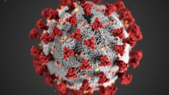 Study: At Home COVID-19 Tests and How Accurate Are they?