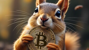 Your Daily Dose of Crypto Memes, 11/6/24