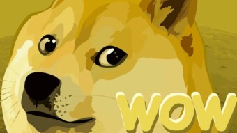 Why Are There So Many Doge Coins? | CoinChanger