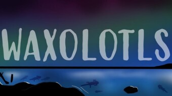 Meet the artist of Waxolotls