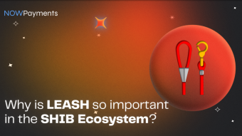 Why is LEASH important in the Shiba Inu Ecosystem?