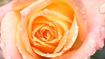 SOME PHOTOGRAPHY PROVED THAT WORLD IS SO BEAUTIFUL.