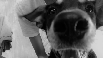 Run free.