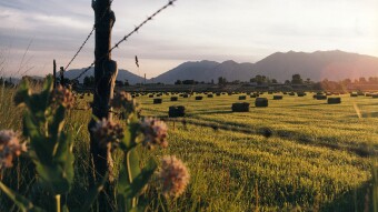 Utah County, UT Records Marriage Licenses on the Ethereum Blockchain