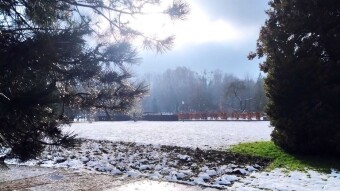 Thursday and another thaw - My Actifit Report Card: November 27, 2025