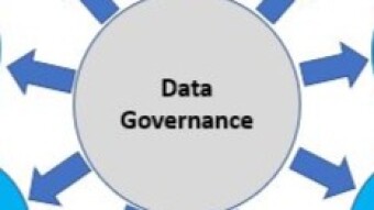 Data Governance and Management for Business