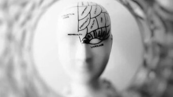 The Thin Line Between Influence and Manipulation