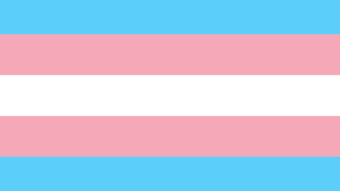 Transgender day of Visibility