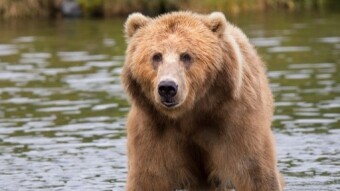 Making Money in a Crypto Bear Market Part 1
