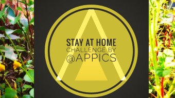 Stay home Stay safe!