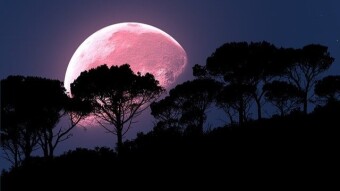 Super Pink Moon April 2020
