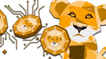 Why is Staking POLYCUB as xPOLYCUB Such a Damn Good Idea