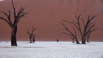 Deadvlei and Dune 45 - Namib Naukluft National Park - a trip around Africa