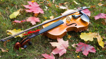 Prove violino n.5/Music practice n.5