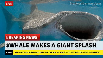 $WHALE has landed with a splash!