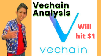 Vechain Analysis | Will Hit $1 | Amazon, Chinese Gov, Oxford, Walmart, PWC - Partner