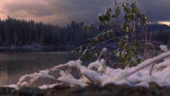 Winter Approaching