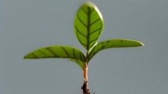 Embracing Change: A Journey to Personal Growth