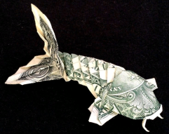 Top 9 most expensive fish on the planet