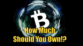 How Much Bitcoin Should You Own!?