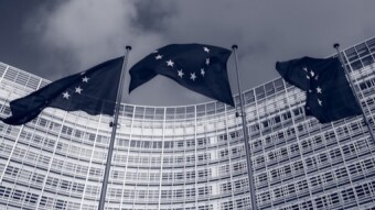 New decisions regarding European citizenship and political actions