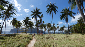 From my travels around India - Andaman Islands, Havelock Island