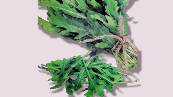 Rocket Herb (Arugula,Rucola, Roquette, Rukolou, And Eruca sativa): The Ultimate Guide to Growing and Harvesting Its Health Benefits