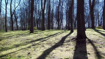 A beautiful, sunny Tuesday, full of finds - My Actifit Report Card: March 26 2024