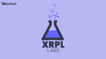 XRPL labs aim to add Pro features to XUMM app: Almost 40% of users are willing to buy it