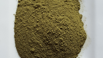 Coffee ☕ Kratom and cannabis how much is fatal and children still harvest tobacco in the USA