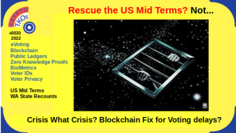 Crisis what Crisis? US Primaries experience Vote Count delays. Blockchain to the Rescue?