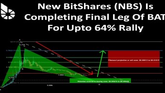 New BitShares (NBS) Is Completing Final Leg Of BAT For Upto 64% Rally