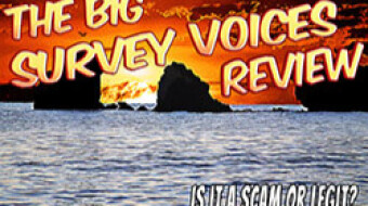 A Survey Voices Review - Do They Pay Out?